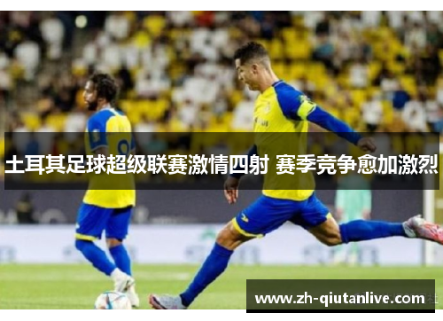 土耳其足球超级联赛激情四射 赛季竞争愈加激烈